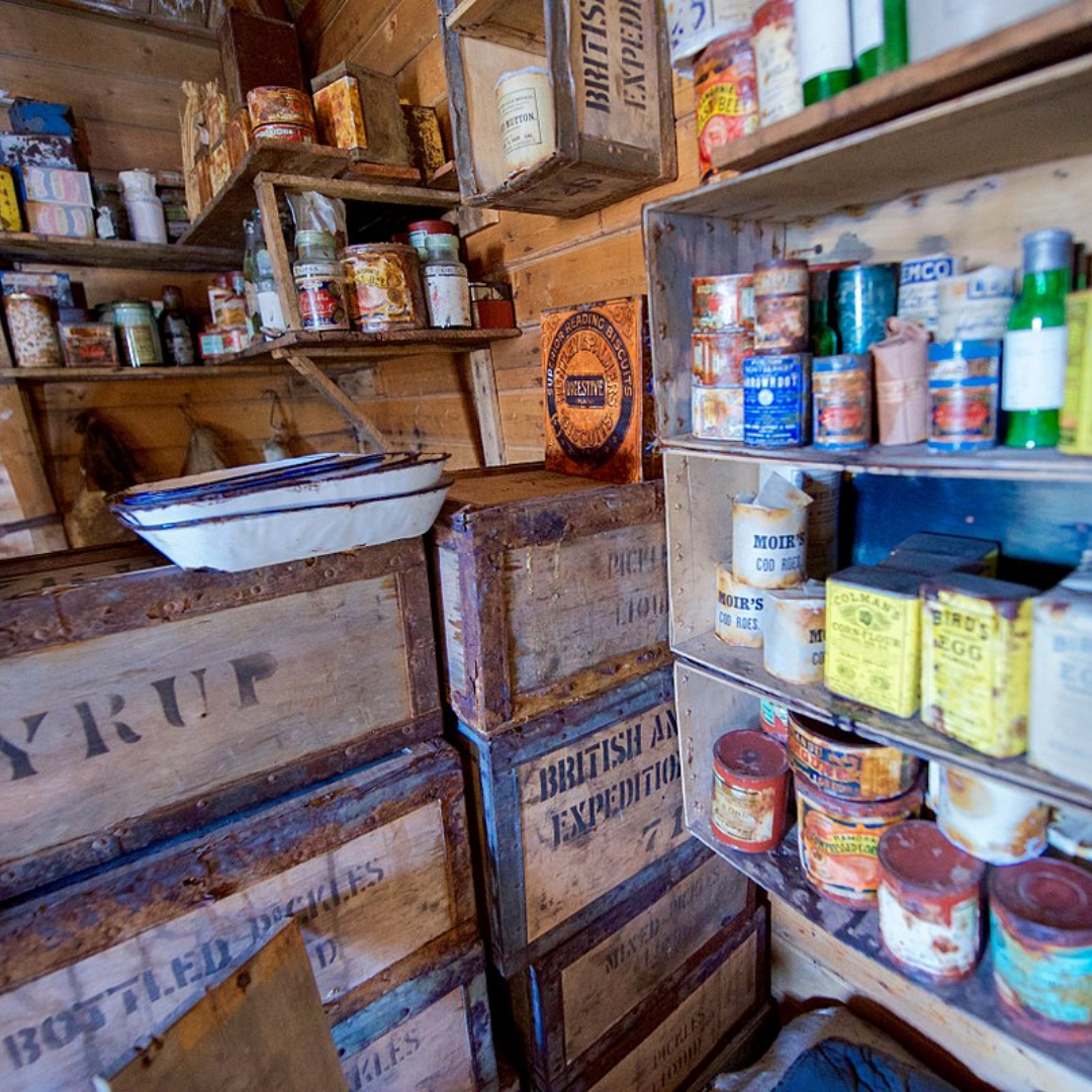 The Antarctic Diet: How Food Fuels Science