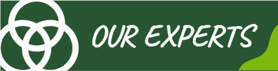 Our Experts